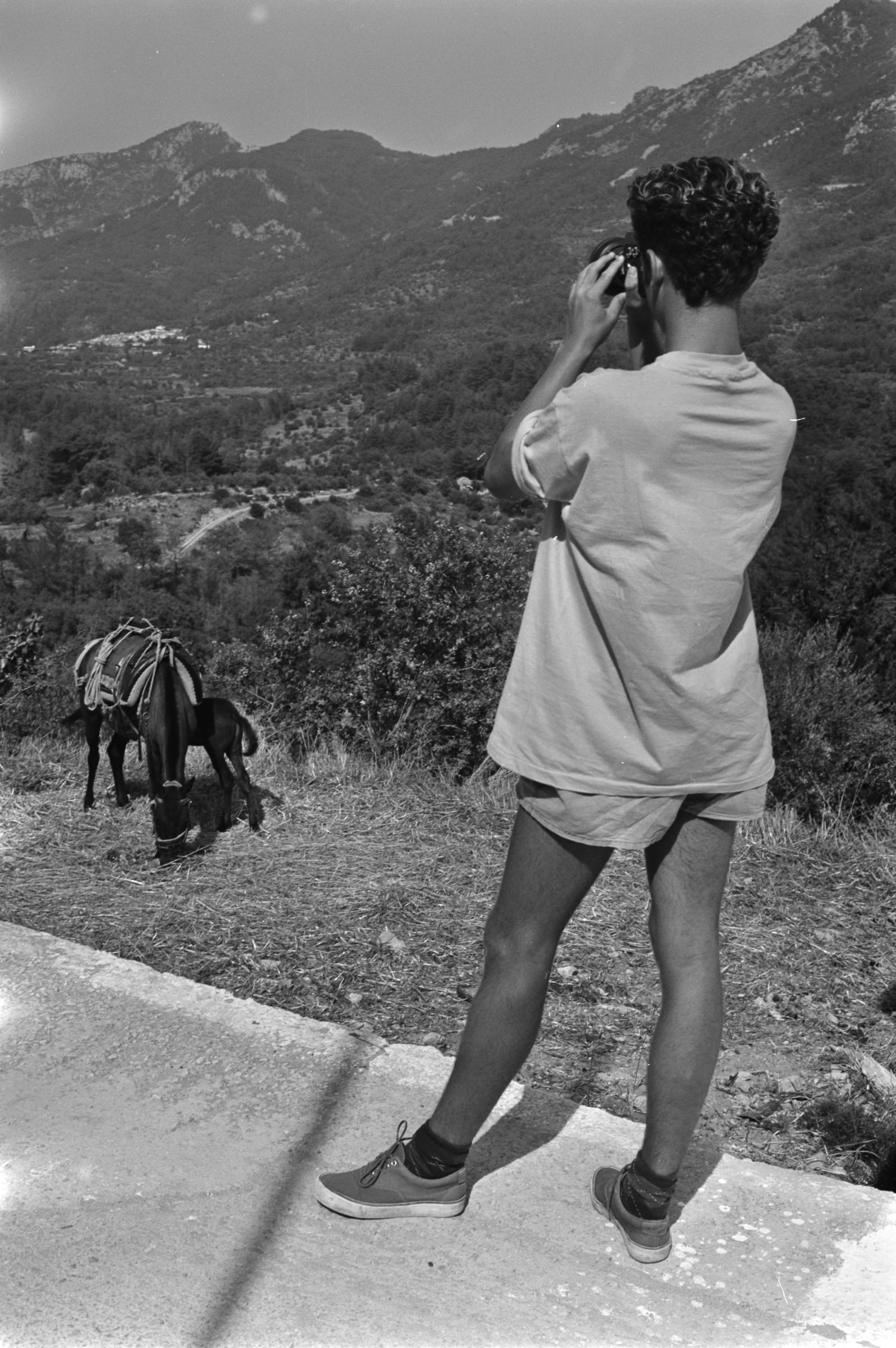 AHP F1991 09 002 sc240801 img13 NLP